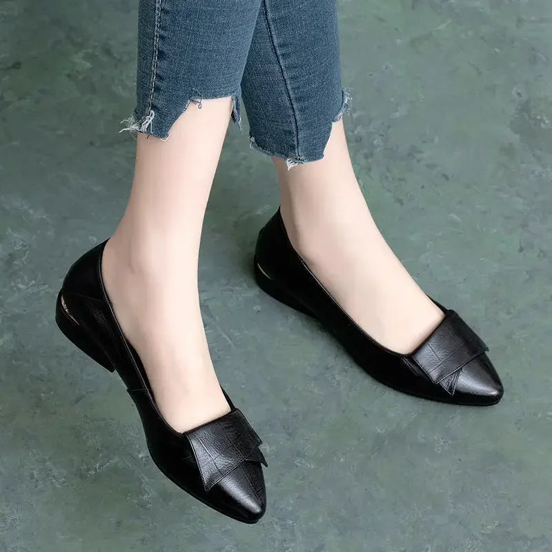 Shoe Women's 2024 New Spring and Autumn Shallow Cut Thick Heel Pointed Toe Women's Shoes Soft Leather Soft Sole Shoes Work Shoes - Acros