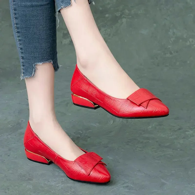 Shoe Women's 2024 New Spring and Autumn Shallow Cut Thick Heel Pointed Toe Women's Shoes Soft Leather Soft Sole Shoes Work Shoes - Acros